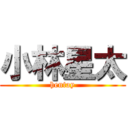 小林星太 (hentay)