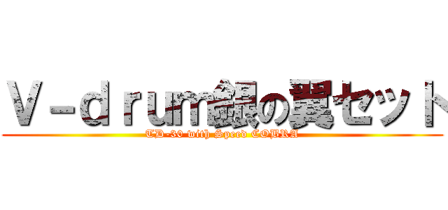 Ｖ－ｄｒｕｍ銀の翼セット (TD-30 with Speed COBRA)