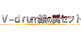 Ｖ－ｄｒｕｍ銀の翼セット (TD-30 with Speed COBRA)