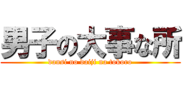 男子の大事な所 (dansi no daiji na tokoro)