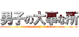 男子の大事な所 (dansi no daiji na tokoro)