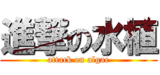 進撃の水植 (attack on algae)