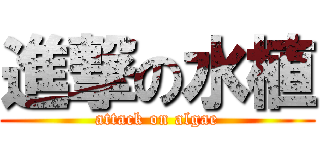 進撃の水植 (attack on algae)