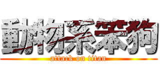 動物系笨狗 (attack on titan)