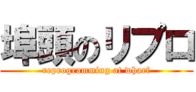 埠頭のリプロ (reprogramming at wharf)
