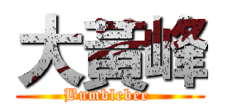 大黃峰 (Bumblebee )