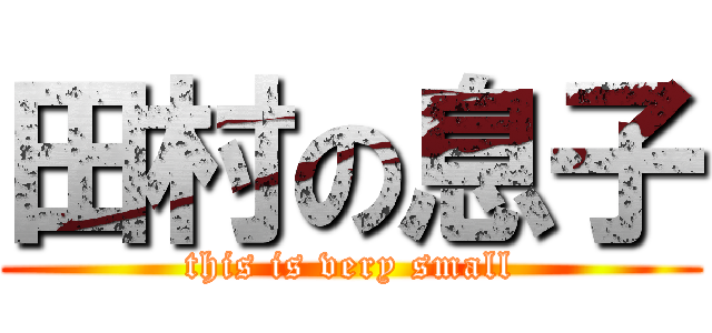 田村の息子 (this is very small)