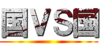 国ＶＳ国 ()