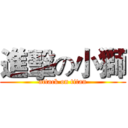進擊の小獅 (attack on titan)