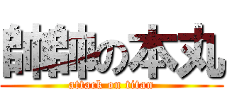 帥帥の本丸 (attack on titan)