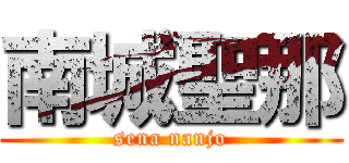 南城聖那 (sena nanjo)