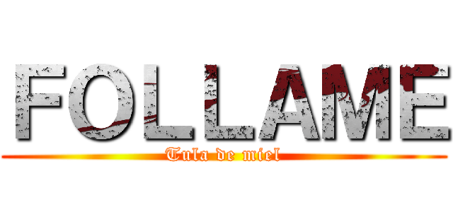 ＦＯＬＬＡＭＥ (Tula de miel)
