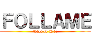 ＦＯＬＬＡＭＥ (Tula de miel)
