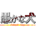 愚かな犬 (Stupid dog)