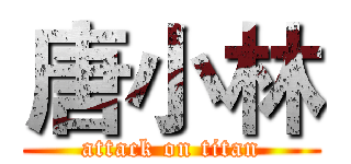 唐小林 (attack on titan)