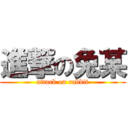 進撃の兔某 (attack on rabbit)