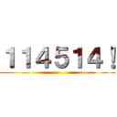 １１４５１４！ ()