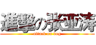 進擊の张亚涛 (attack on dog)