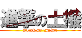 進撃の土撥 (attack on gopher)