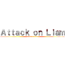 Ａｔｔａｃｋ ｏｎ Ｌｉａｍ (attack on liam)