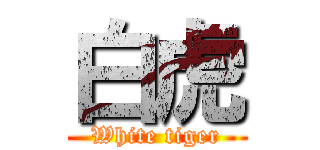 白虎 (White tiger)