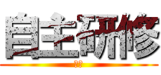 自主研修 (　　)