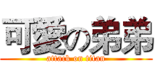 可愛の弟弟 (attack on titan)