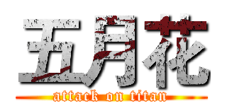 五月花 (attack on titan)