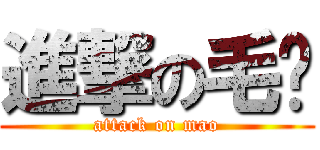 進撃の毛线 (attack on mao)