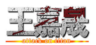 王嘉晟 (attack on titan)