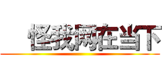     怪我网在当下 ()