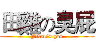 田雞の臭屁 (Javan's gas)
