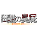 田雞の臭屁 (Javan's gas)