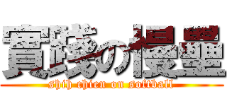 實踐の慢壘 (shih chien on softball)