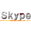 Ｓｋｙｐｅ (skype)