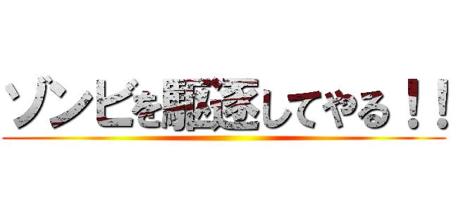 ゾンビを駆逐してやる！！ ()