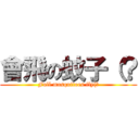 會飛の蚊子（？ (Full mosquitoes fly(?)