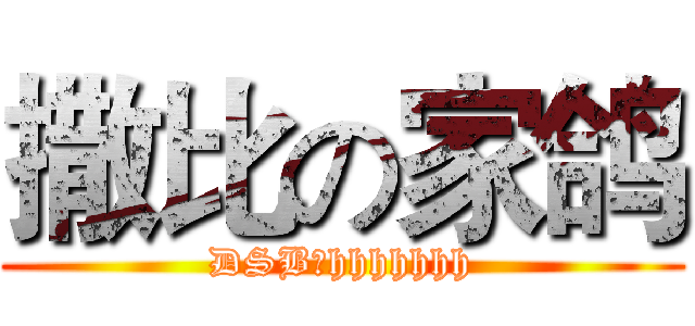 撒比の家鸽 (DSB，hhhhhhh)