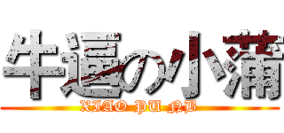 牛逼の小蒲 (XIAO PU NB)