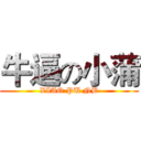 牛逼の小蒲 (XIAO PU NB)