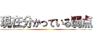 現在分かっている弱点 ()