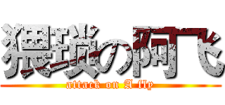 猥琐の阿飞 (attack on A fly)