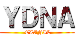 ＹＤＮＡ ( CLINIC)