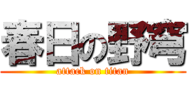 春日の野穹 (attack on titan)