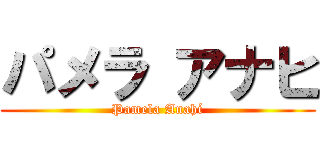 パメラ アナヒ (Pamela Anahí)