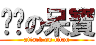 憨憨の呆寶 (attack on titan)