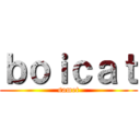 ｂｏｉｃａｔ (samet)