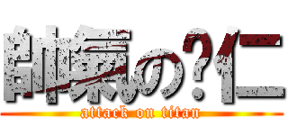 帥氣の薏仁 (attack on titan)