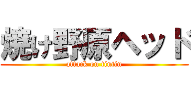 焼け野原ヘッド (attack on tintin)