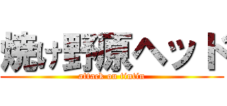 焼け野原ヘッド (attack on tintin)